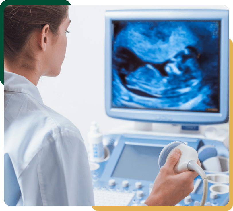 ultrasound process