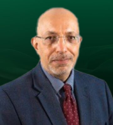 Prof. Mostafa Metwally pic