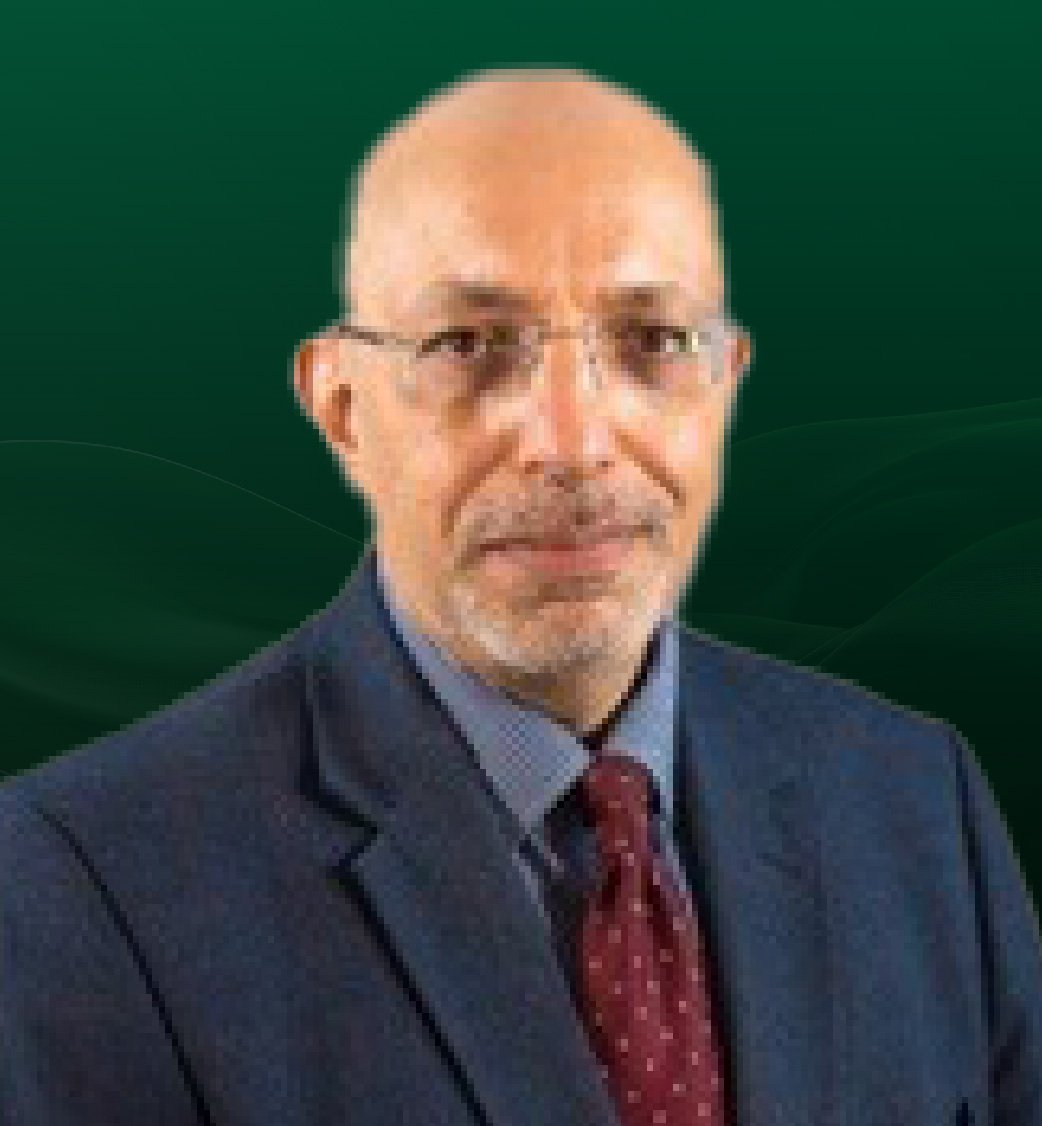 Prof. Mostafa Metwally pic