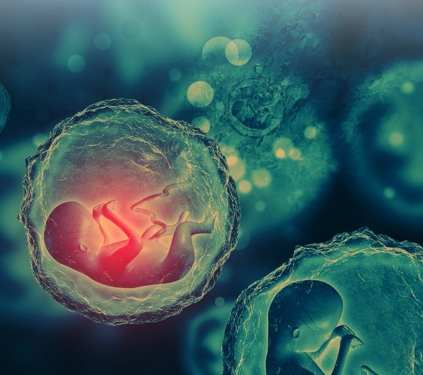 placenta accreta spectrum worshop -img-2 (2)