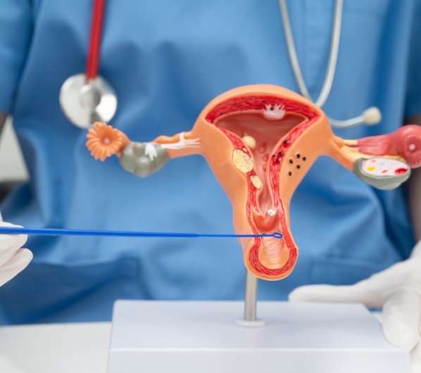 robotic workshop img