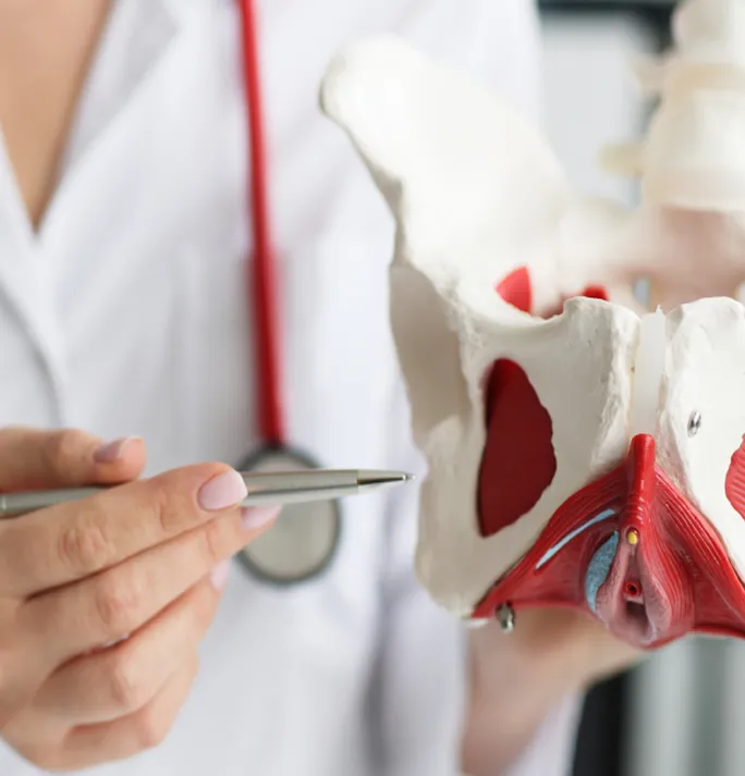 Urogynecology conference in dubai , pelvic floor surgery conference dubai